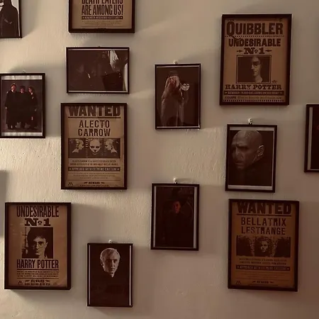 Hogwarts Nivy Resident * 布拉迪斯拉发